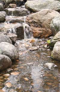 Carolina Pondscapes, Thomasville